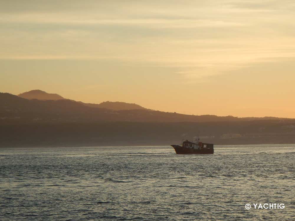 Bateau de pêche portugais à l'aube